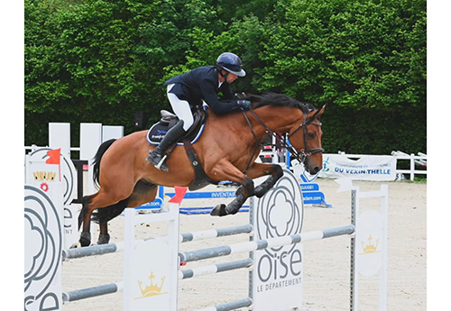Alexis Goury/Falco du Grand Clos