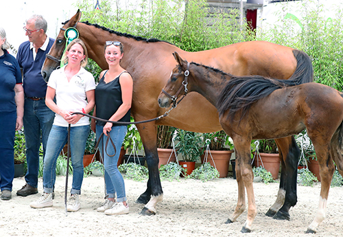 O'Sarah d'Audouville, 2e des femelles jeunes
